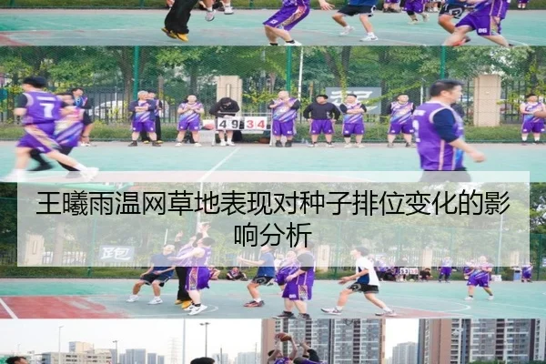 王曦雨温网草地表现对种子排位变化的影响分析
