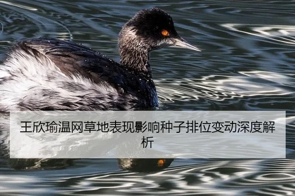 王欣瑜温网草地表现影响种子排位变动深度解析